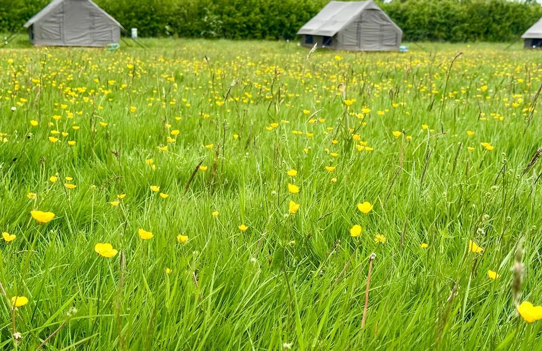 Drovers Rest Farm Stay-1